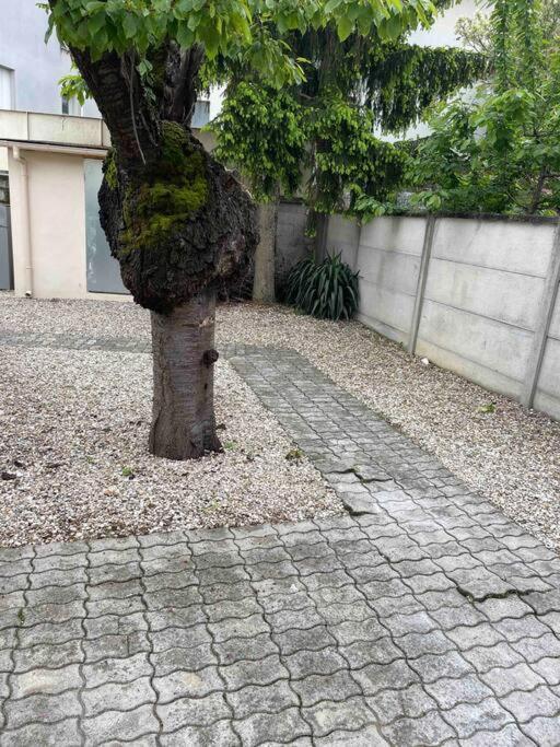 克雷泰伊Studio Tout Confort, Au Pied De Toute Commodite, 2公寓 外观 照片